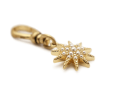 Lulu Frost Electra Star Charm - Bettina H. Designs