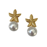 Star Fish Pearl Earrings - Bettina H. Designs
